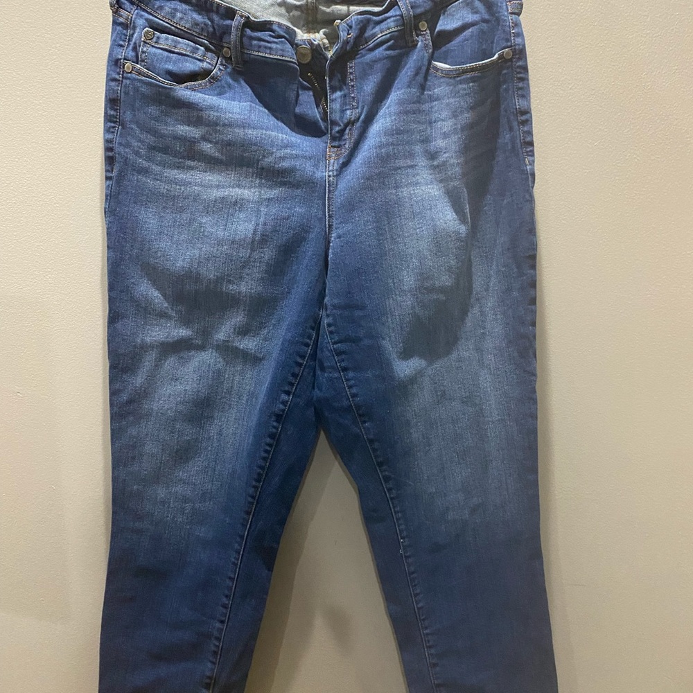 Torrid Skinny Jeans